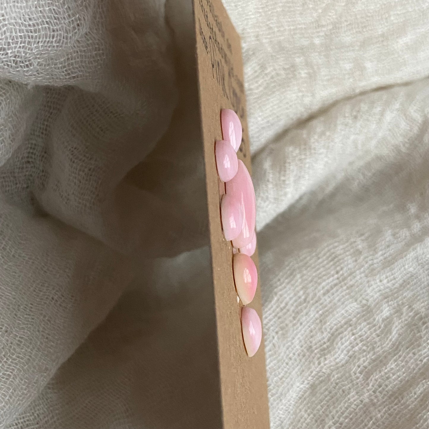 Pink Conch Cabochon - PC70