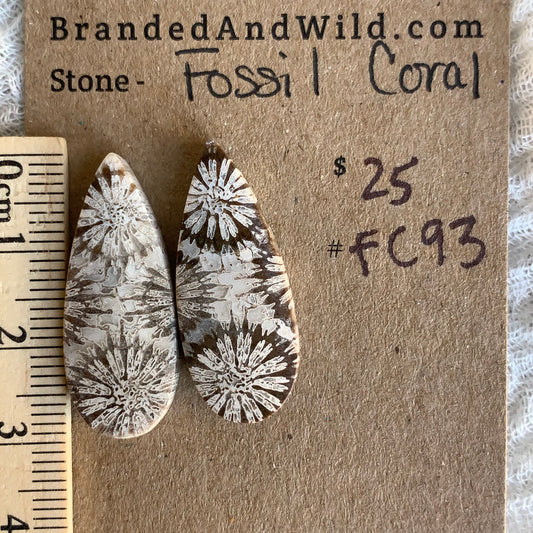 Fossil Coral Cabochon - FC93