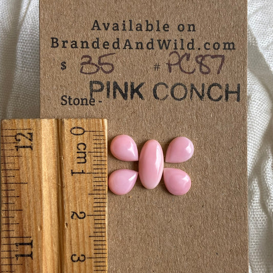 Pink Conch Cabochon - PC8 A100CE70-3271-43BC-AE3A-EAE37FABBEC8 Brandedandwild.com
