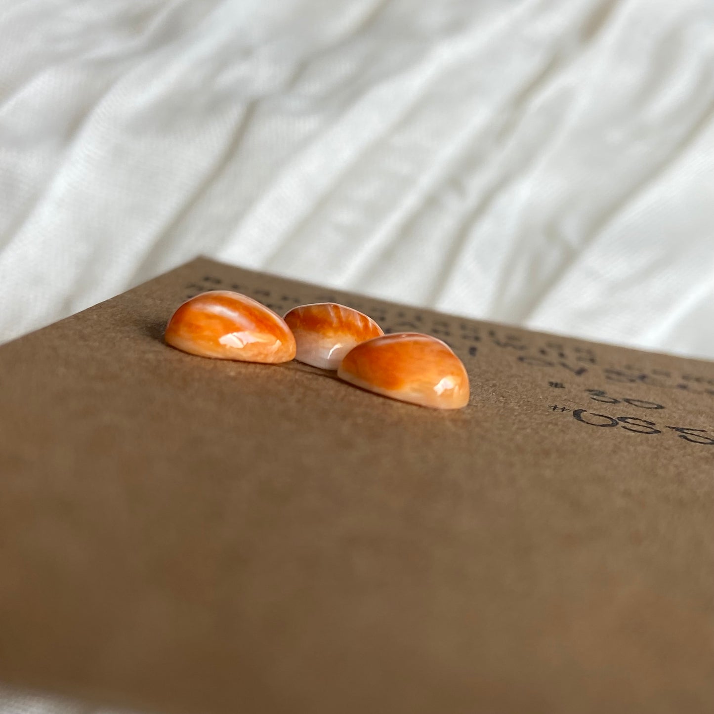 Oystershell Cabochon - OS53 A1069850-59BD-4279-85D5-A30D5EB5F3D8 Brandedandwild.com