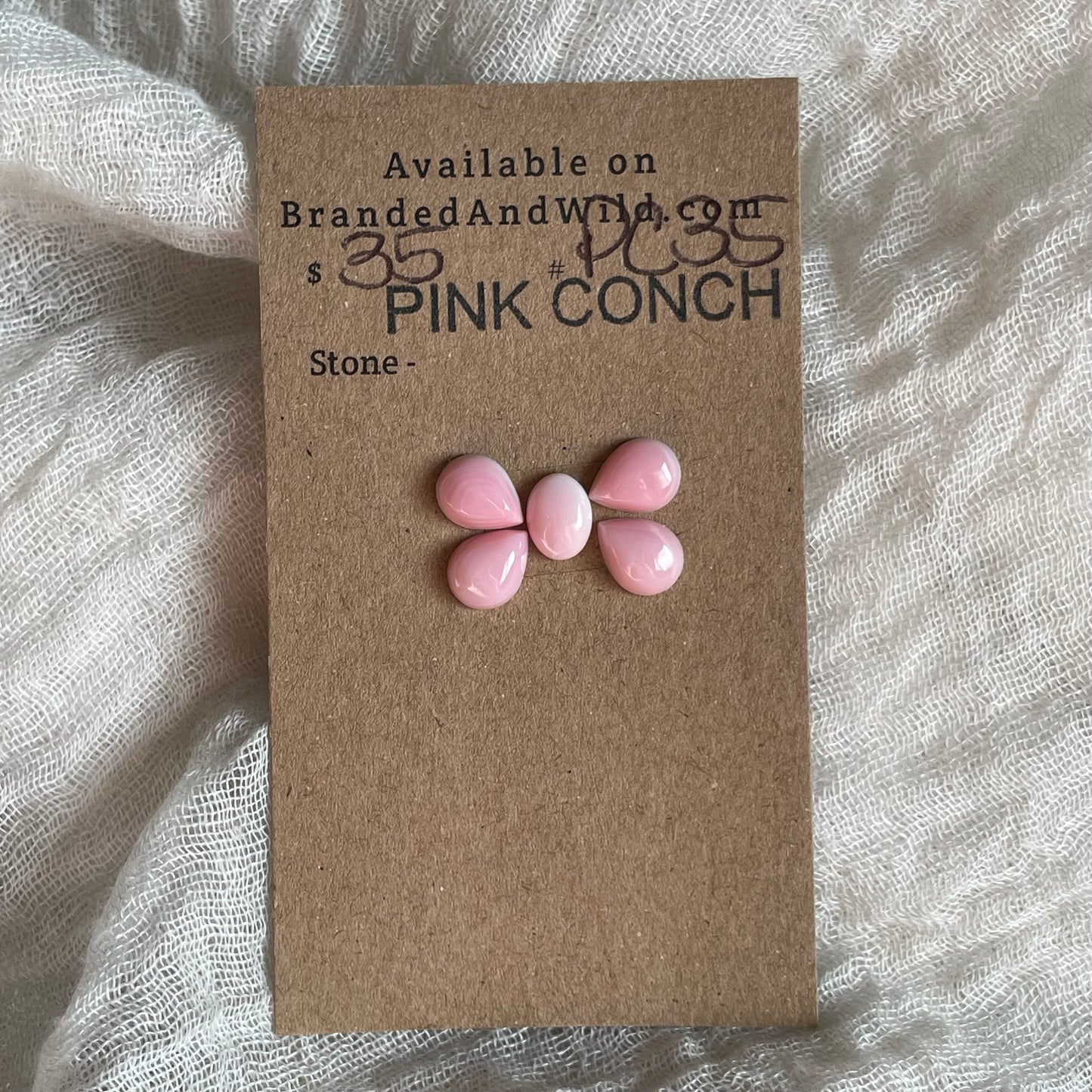 Pink Conch Cabochon - PC35 A1252F37-2E4A-43C1-A16B-A51A17C362D8 Brandedandwild.com