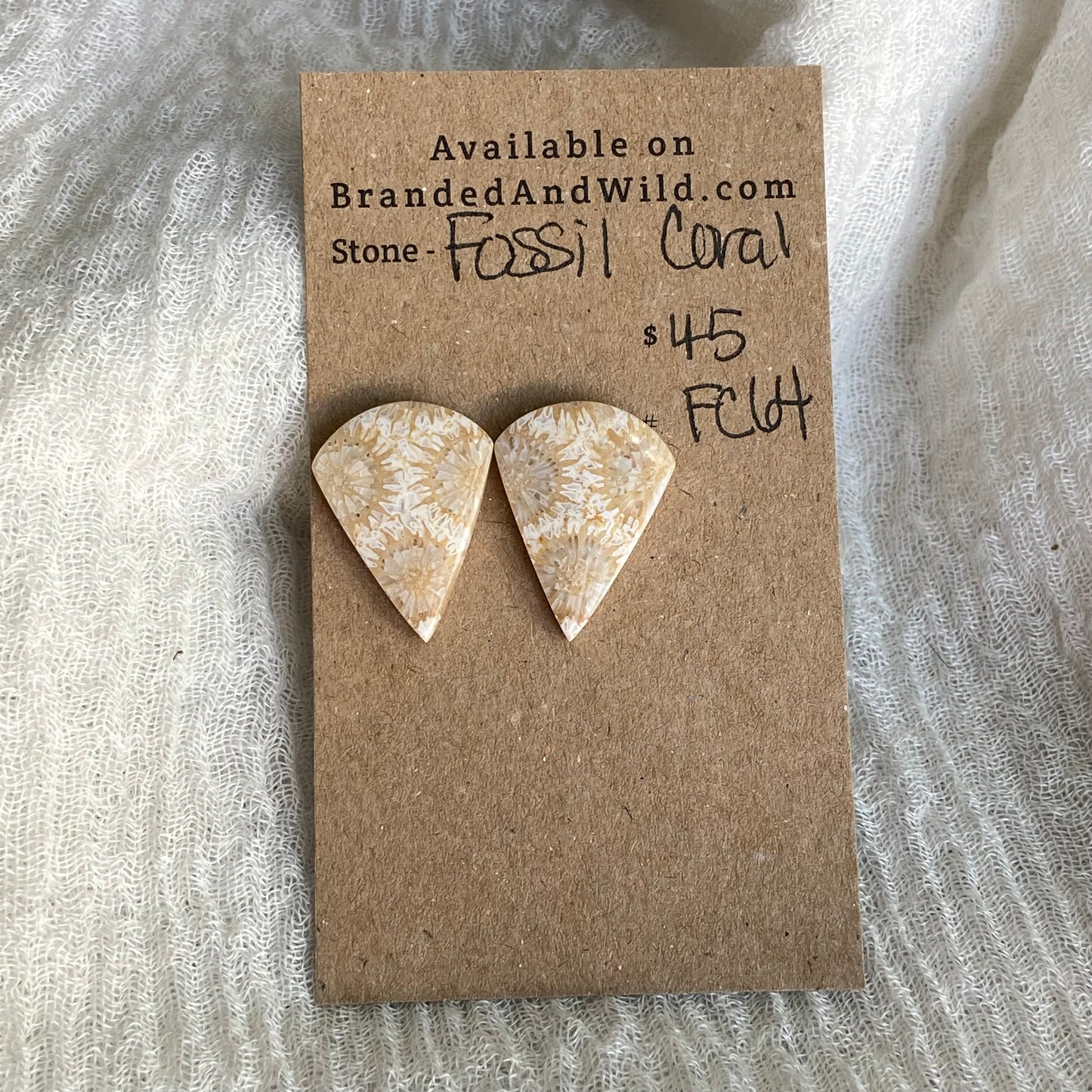 Fossil Coral Cabochon - FC64