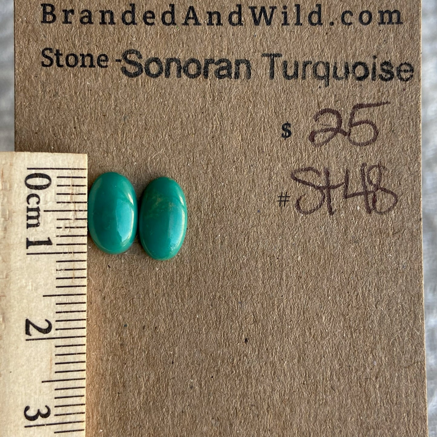 Sonoran Turquoise Cabochon - ST48