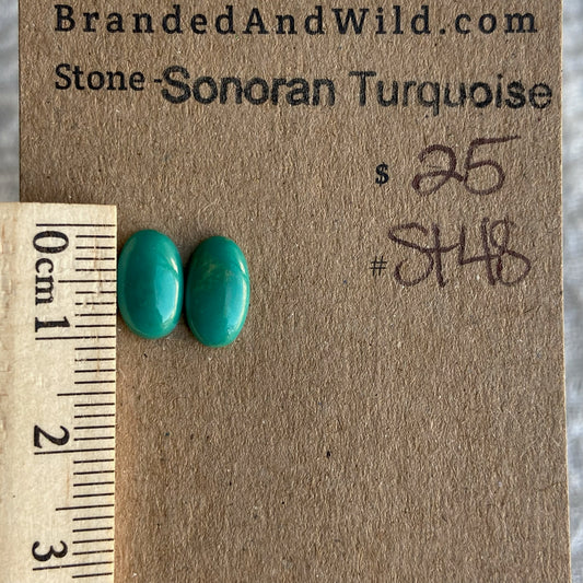 Sonoran Turquoise Cabochon - ST48