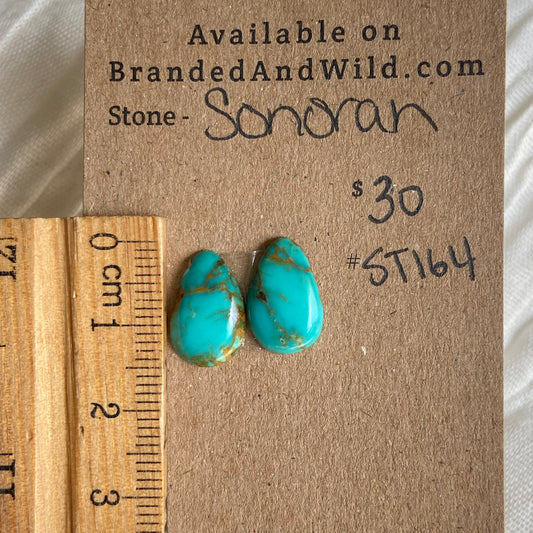 Sonoran Turquoise Cabochon - ST164 A1433D4C-4E8A-434B-BFE5-502105EC3A75 Brandedandwild.com