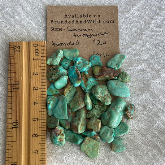 Rough Tumbled Sonoran Gold Turquoise - #ST16