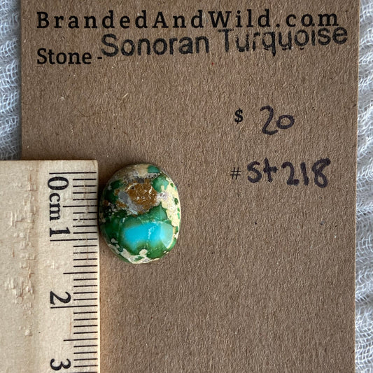 Sonoran Turquoise Cabochon - ST218