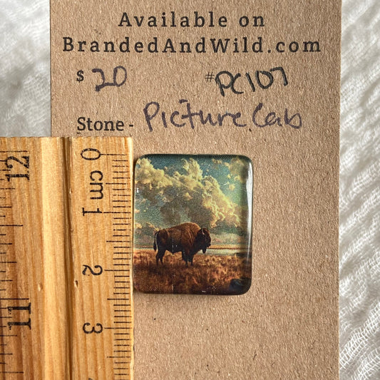 Picture Cabochon - Cabochon - PC97 A1A0ECF9-91A6-4DB3-8802-15BCA2B1EA0D Brandedandwild.com