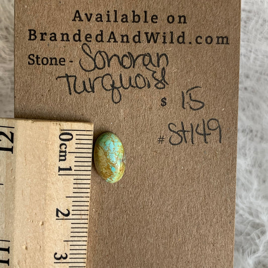 Sonoran Turquoise Cabochon - ST149