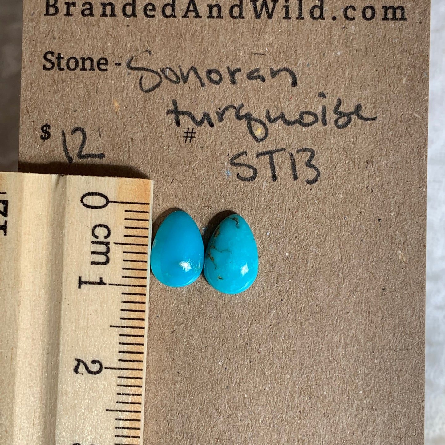 Sonoran Turquoise Cabochon - ST13