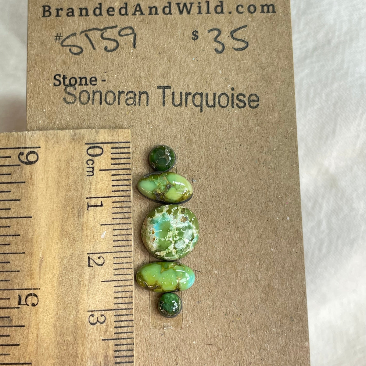 Sonoran Turquoise Cabochon - ST59 A1C607BE-184F-44E2-96E1-AF70C8EF1114 Brandedandwild.com
