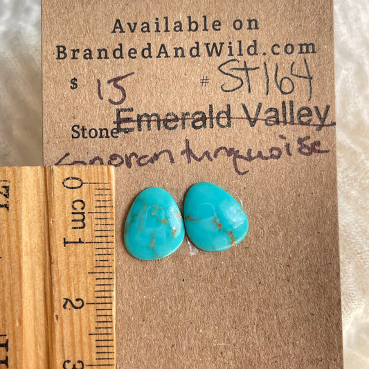 Sonoran Turquoise Cabochon - ST164 A1D80B9E-2F54-45F0-B88E-080F85B79DA9 Brandedandwild.com