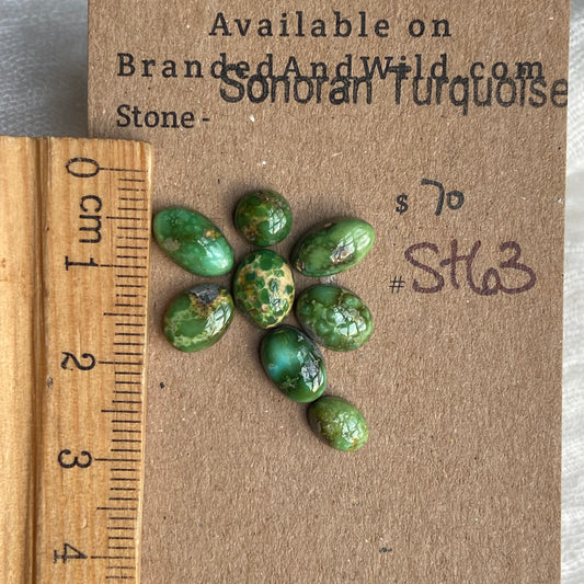 Sonoran Turquoise Cabochon - ST63