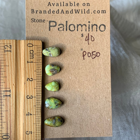 Palomino Cabochon - P050