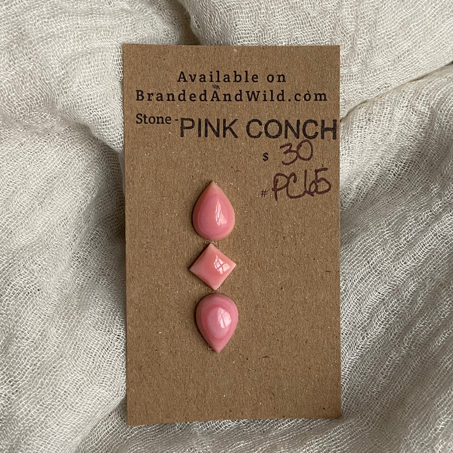Pink Conch Cabochon - PC65