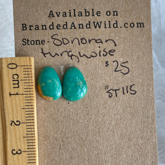 Sonoran Turquoise Cabochon - ST23