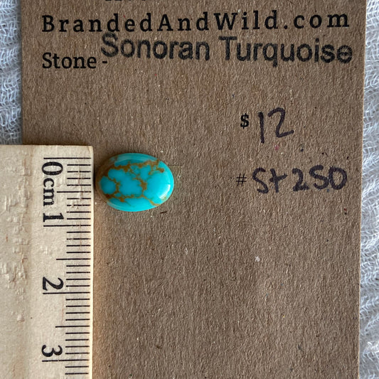 Sonoran Turquoise Cabochon - ST250