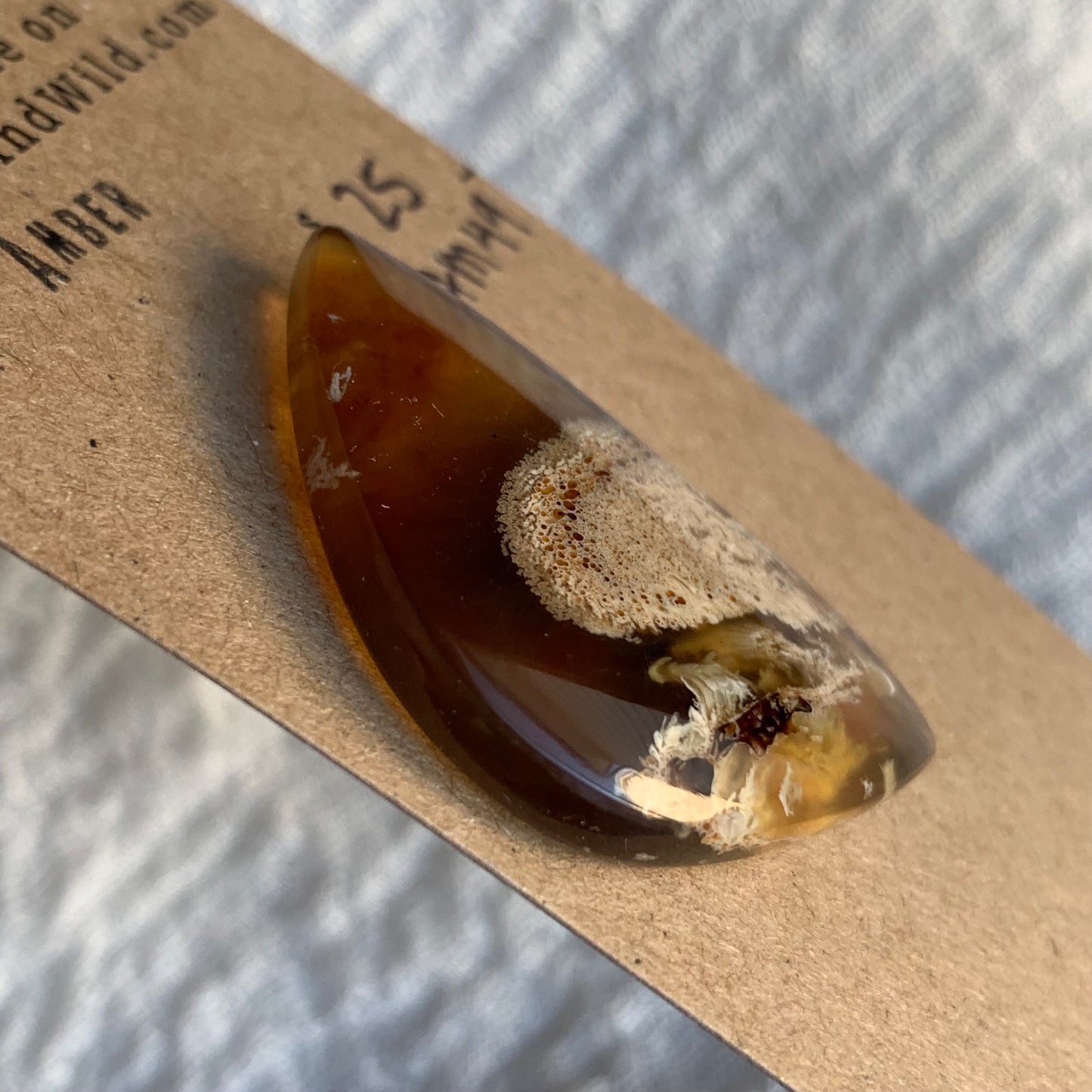 Amber Cabochon AM49
