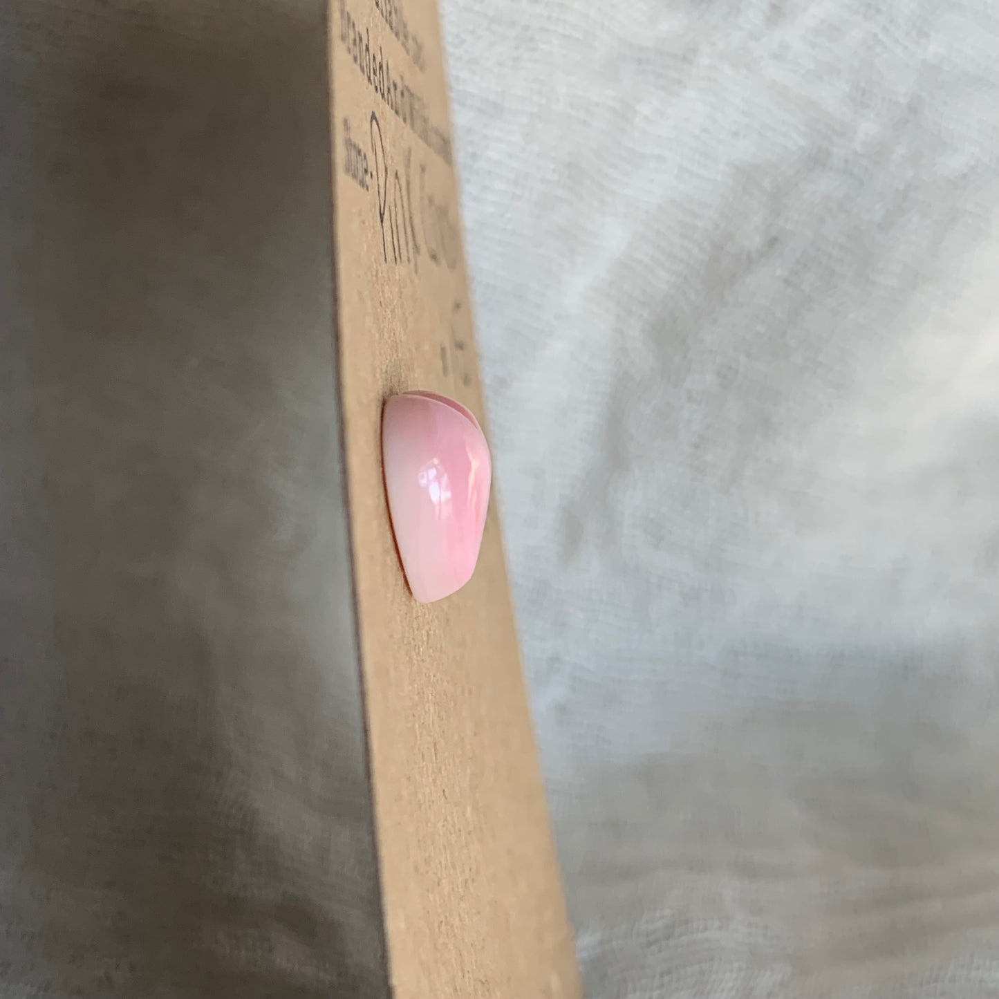 Pink Conch Cabochon - PC24