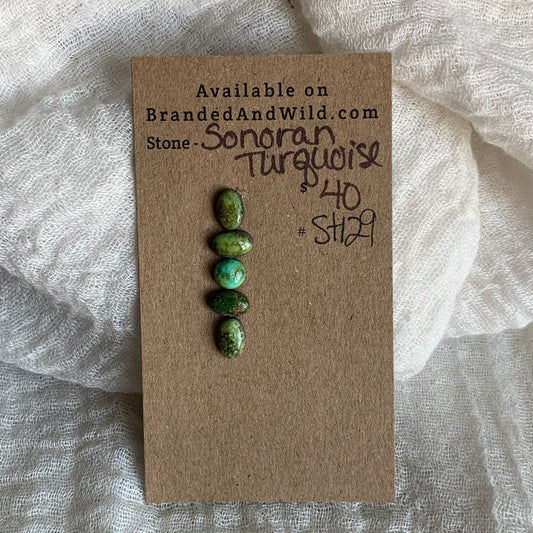 Sonoran Turquoise Cabochon - ST129