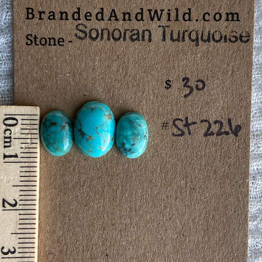 Sonoran Turquoise Cabochon - ST226