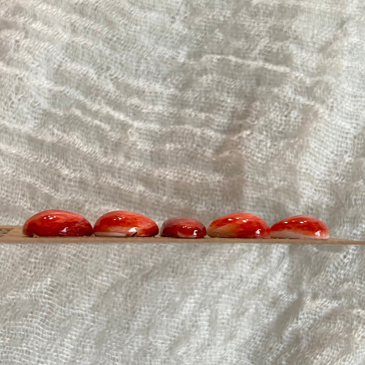 Oyster Shell Cabochon - OS106