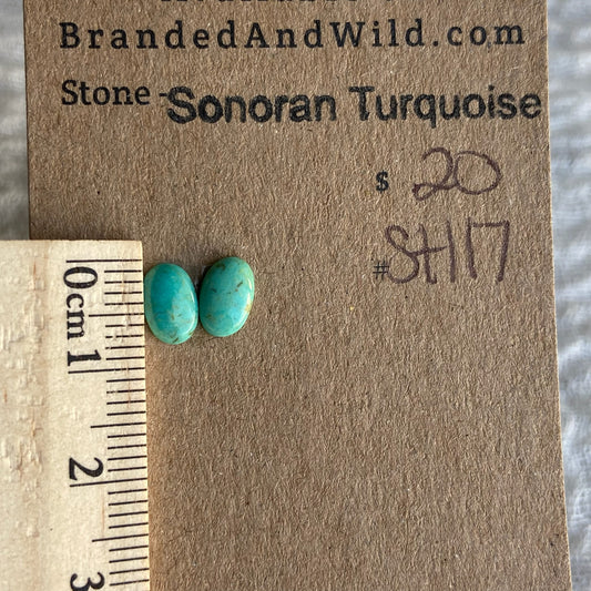 Sonoran Turquoise Cabochon - ST117