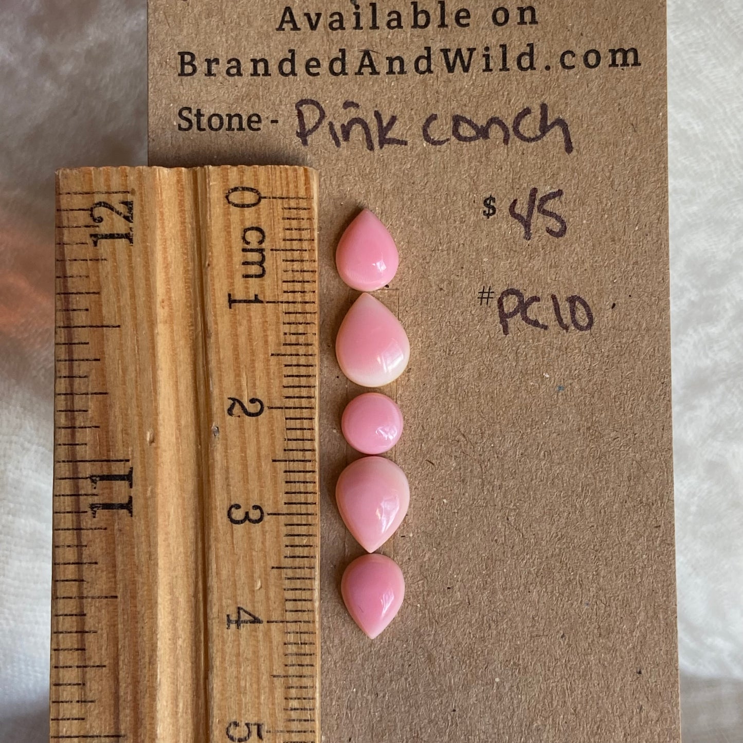 Pink Conch Cabochon - PC10