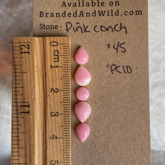Pink Conch Cabochon - PC10