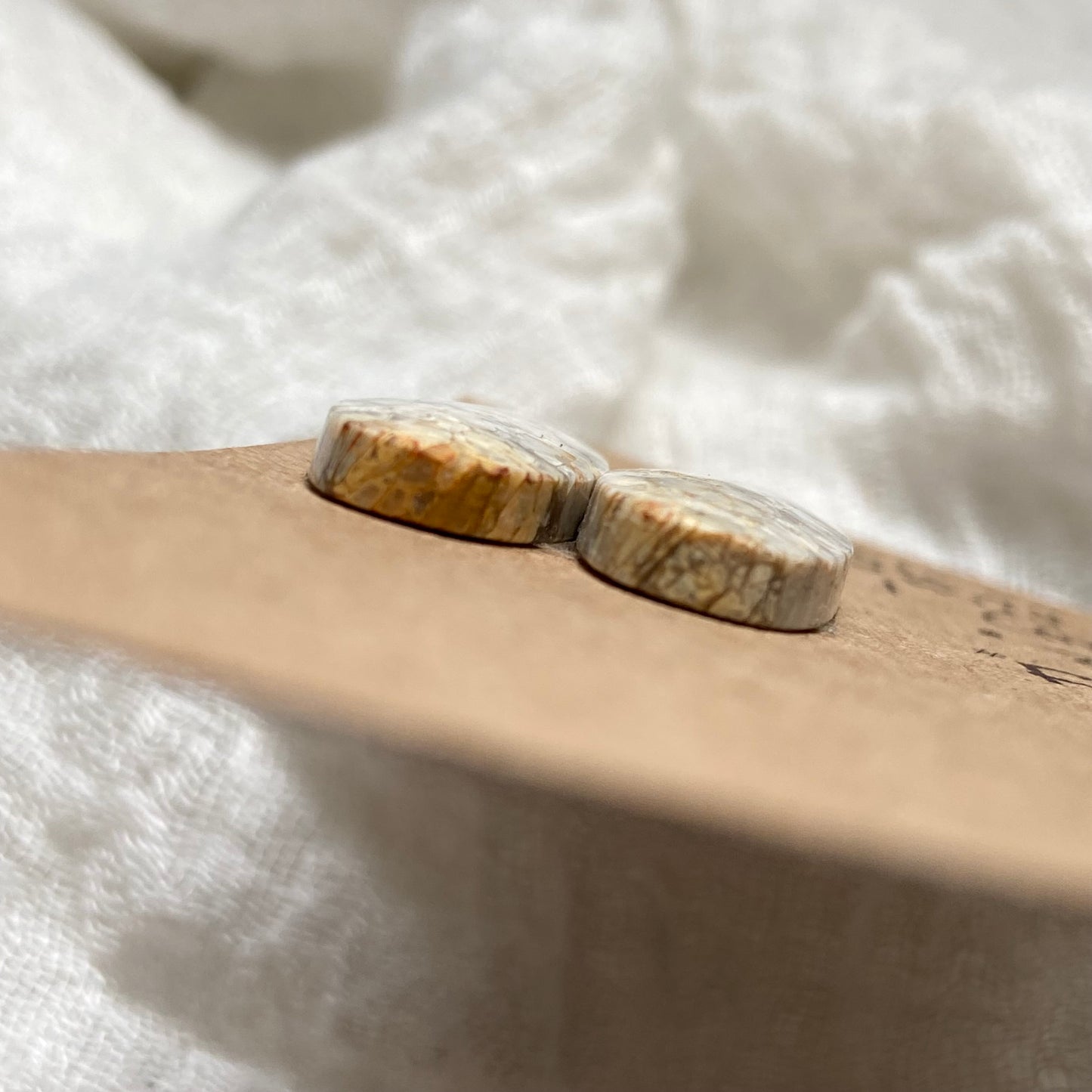 Fossil Coral Cabochon - FC127