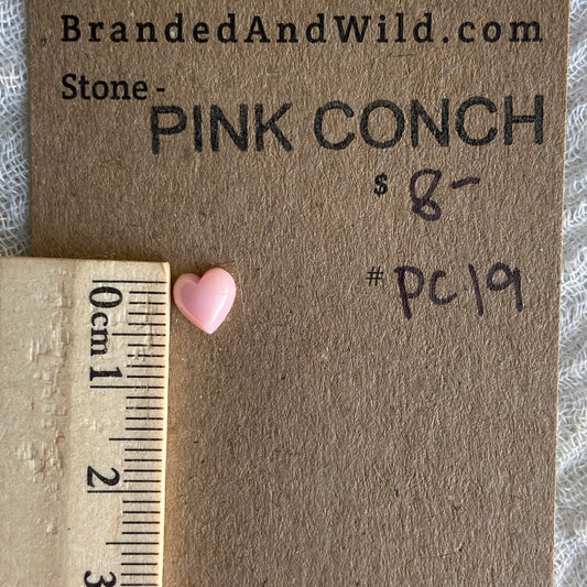 Pink Conch Cabochon - PC19