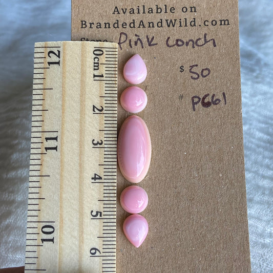 Pink Conch Cabochon - PC61