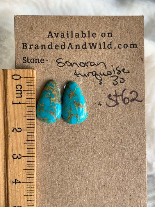 Sonoran Turquoise Cabochon - ST62