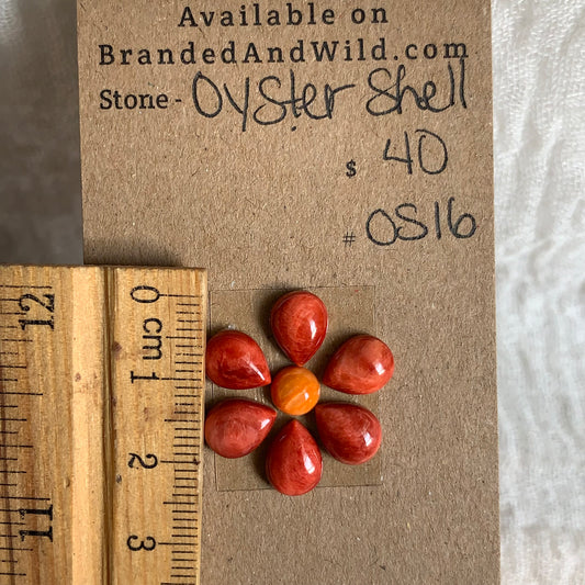 Oystershell Cabochon - OS16
