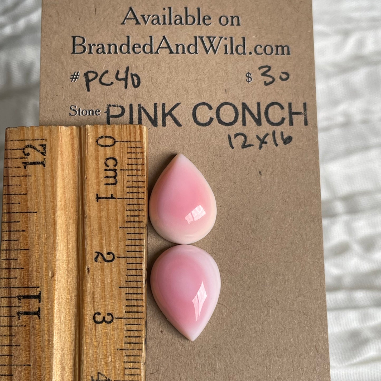 Pink Conch Cabochon - PC40 A3099FF7-D570-46A0-89B2-C8F2E731486F Brandedandwild.com