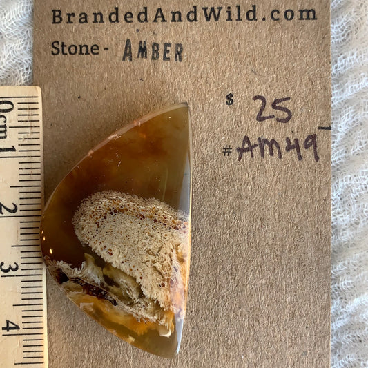 Amber Cabochon AM49