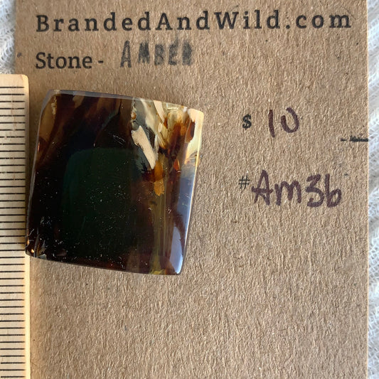 Amber Cabochon AM36