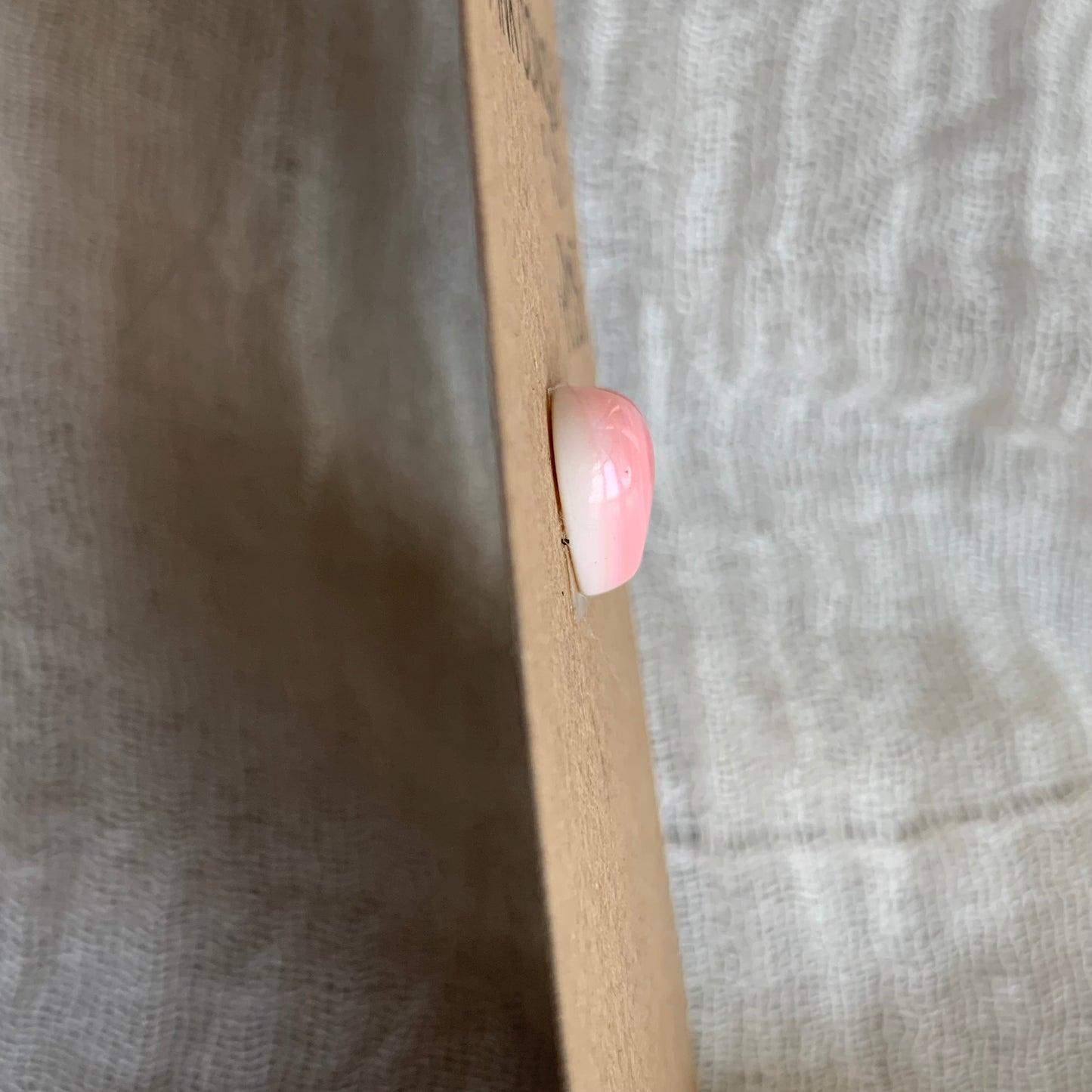 Pink Conch Cabochon - PC05