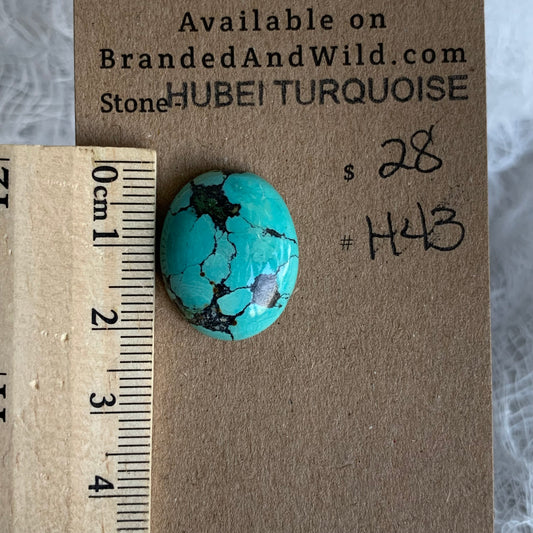 Hubei Turquoise Cabochon - H43