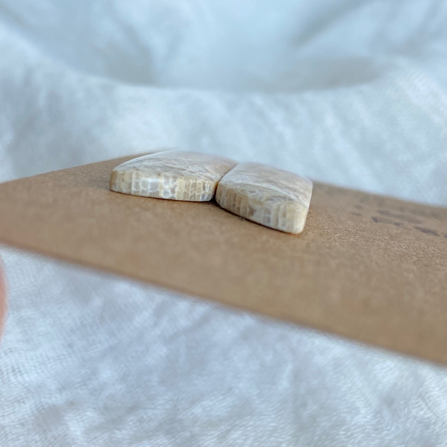 Fossil Coral Cabochon - FC82