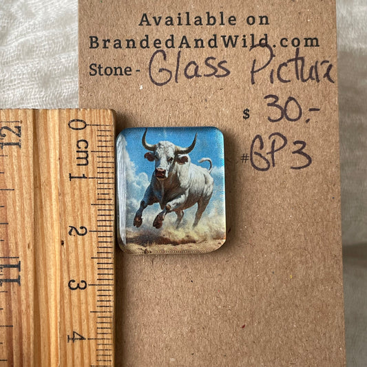 Glass Picture - Cabochon - GP3