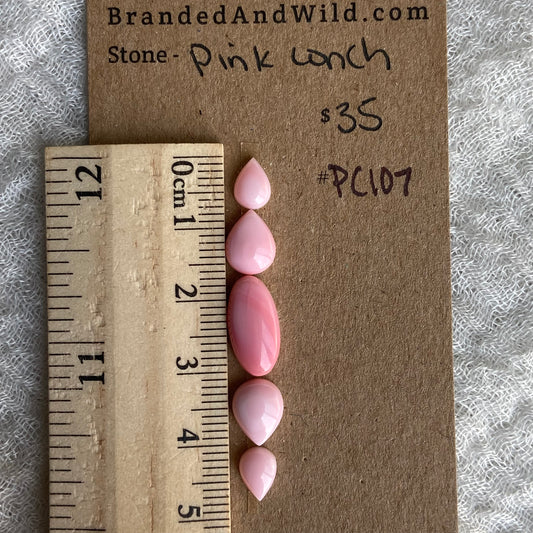 Pink Conch Cabochon - PC107