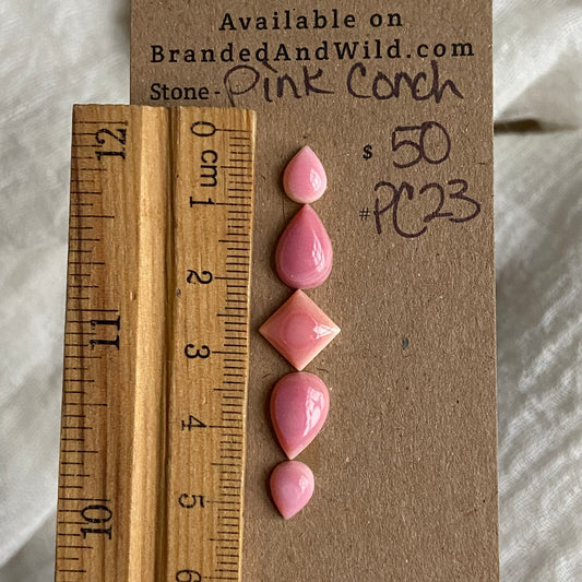 Pink Conch Cabochon - PC23