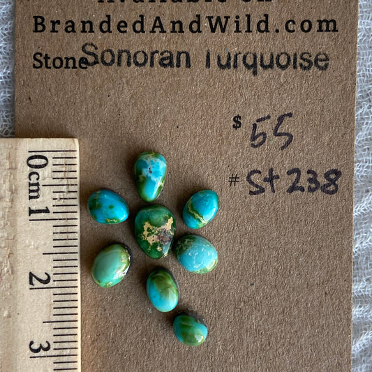 Sonoran Turquoise Cabochon - ST238