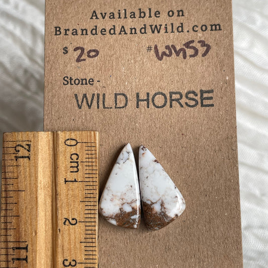 Wild Horse Cabochon - WH53 A3596356-3E1B-4661-94CA-5C387A36B872 Brandedandwild.com