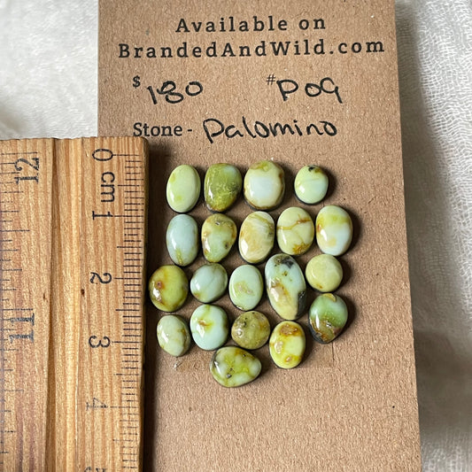 Palomino Cabochon - P09 A377F0EF-9A50-471B-9C69-FDD4E4877B15 Brandedandwild.com