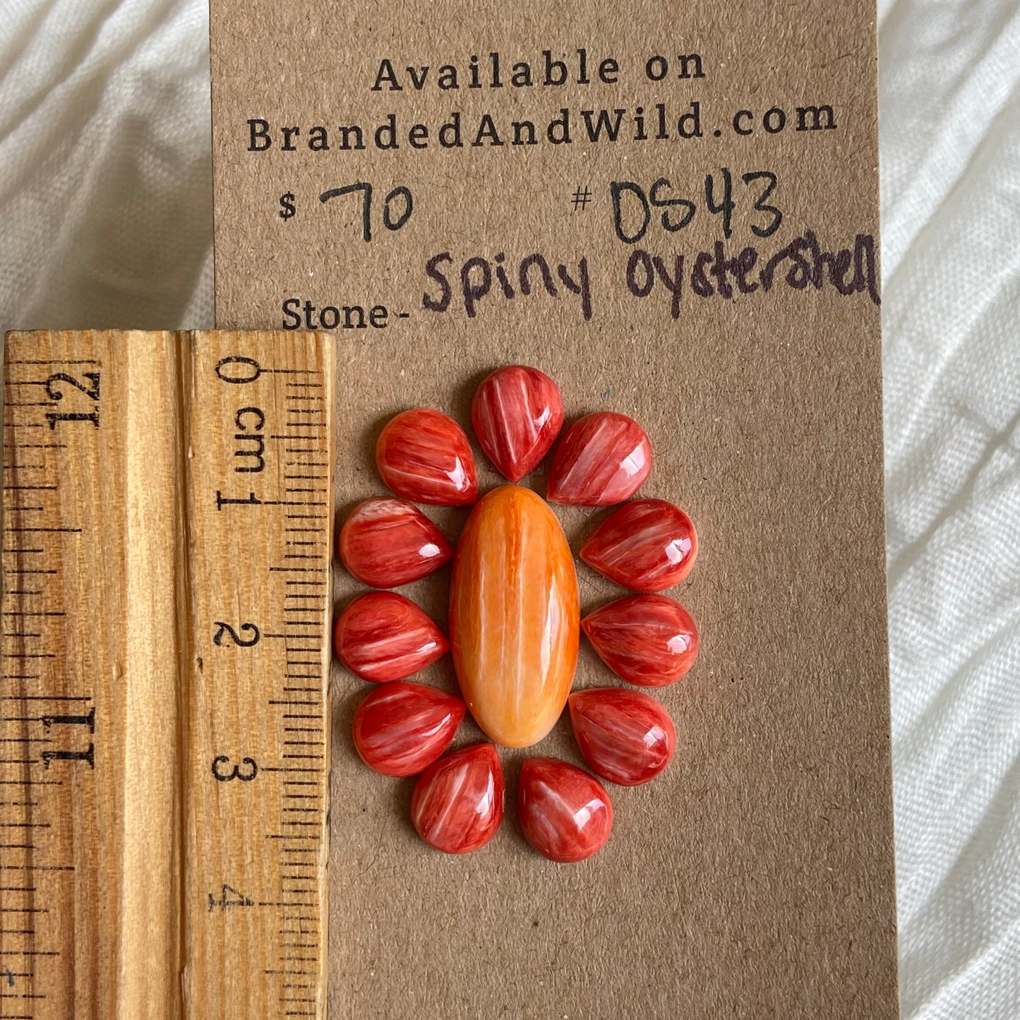Oystershell Cabochon - OS43 A3843206-5199-446C-82FF-CBBDDCA3F254 Brandedandwild.com