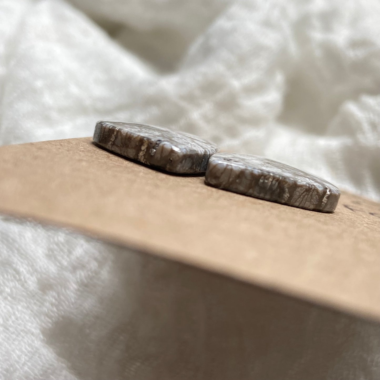 Fossil Coral Cabochon - FC119