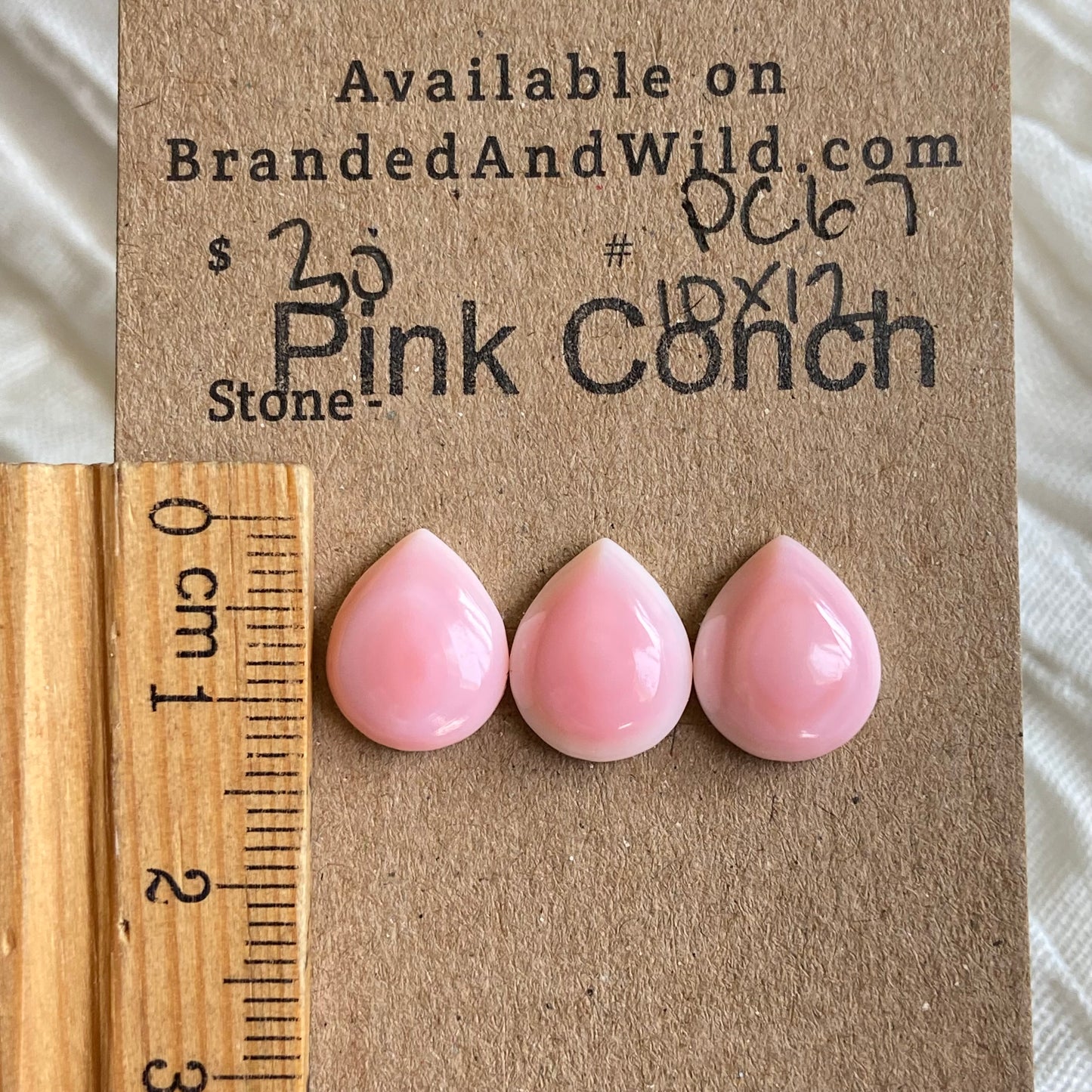 Pink Conch Cabochon - PC67