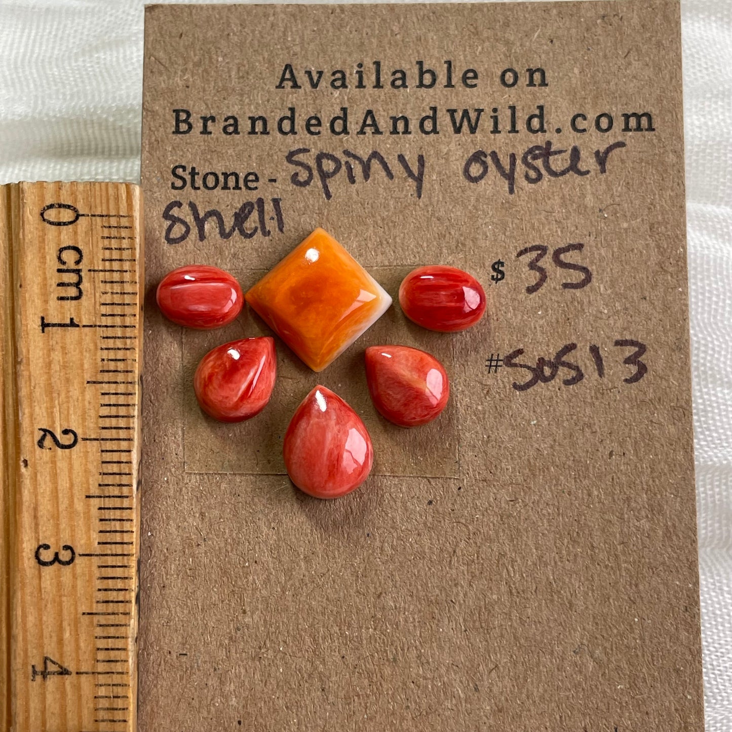 Oyster Shell Cabochon - S0S13 A39CA120-58EC-46BC-BB32-5EF26C08C8AF Brandedandwild.com